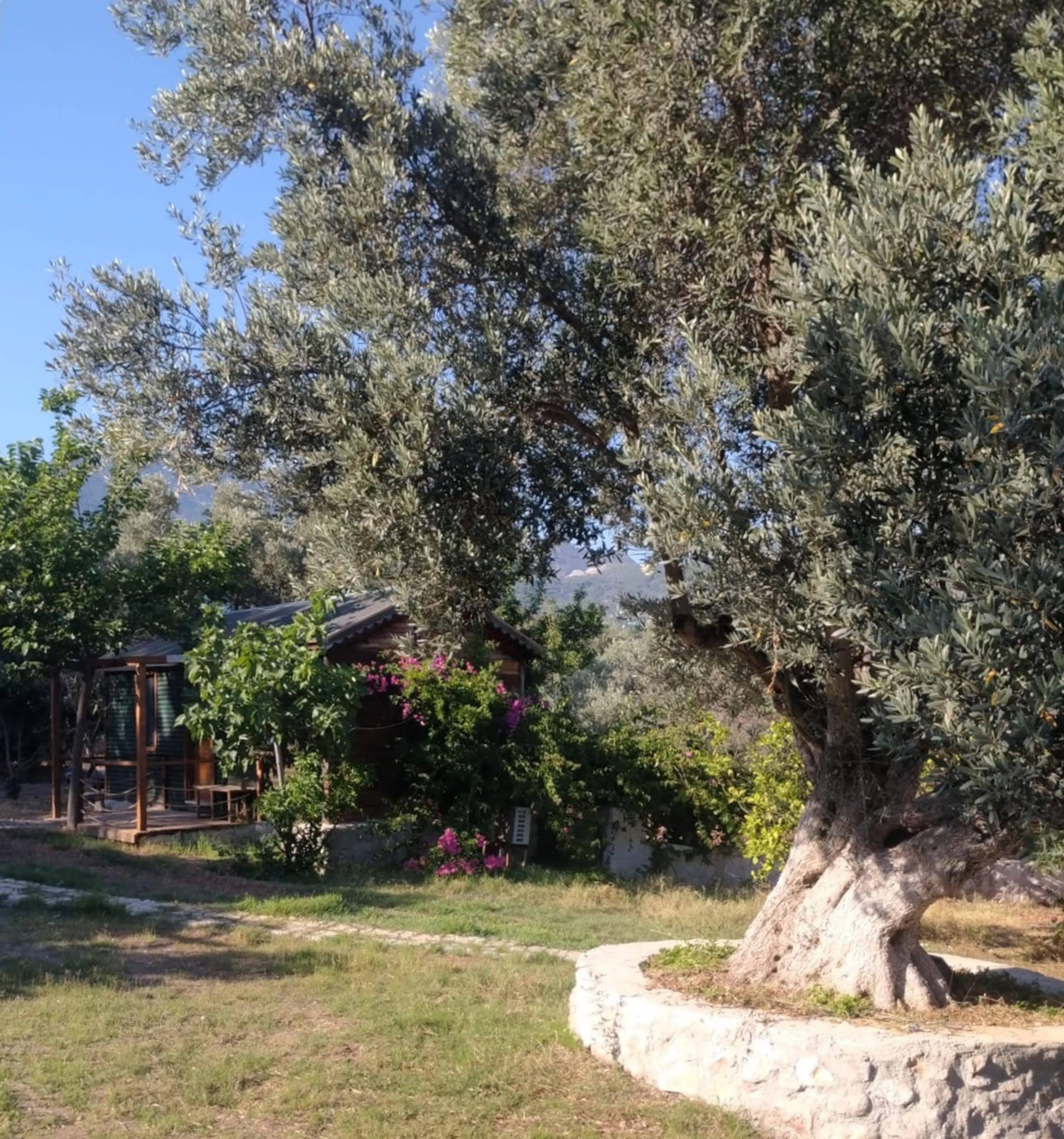 Bahar Bahce Datca Hotel Mesudiye  Exterior photo