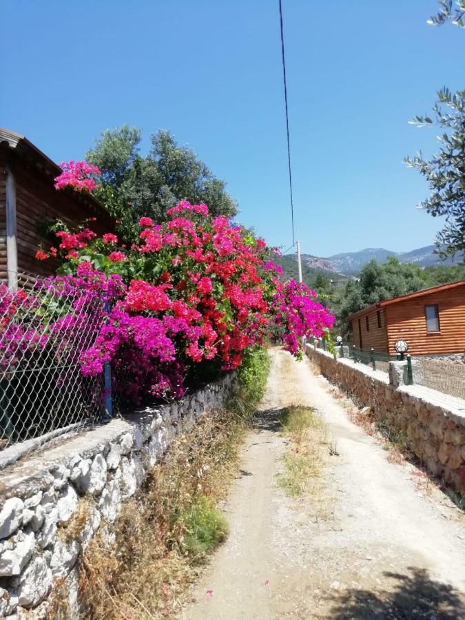 Bahar Bahce Datca Hotel Mesudiye  Exterior photo