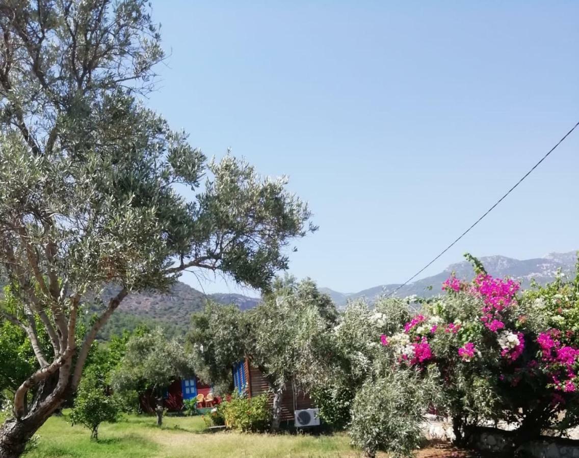 Bahar Bahce Datca Hotel Mesudiye  Exterior photo